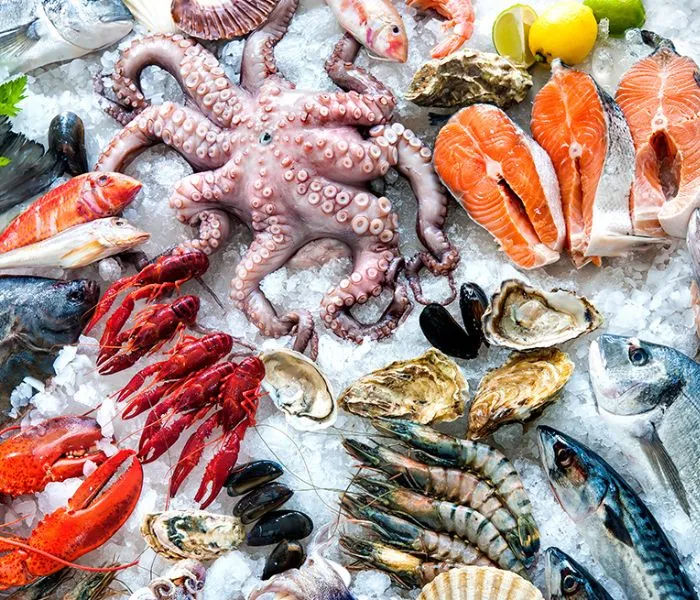 Seafood with a High Mercury Content are Foods to Avoid During Pregnancy