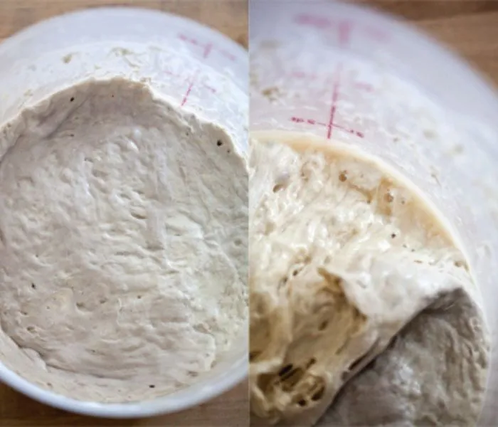 Uncooked Dough and Batter