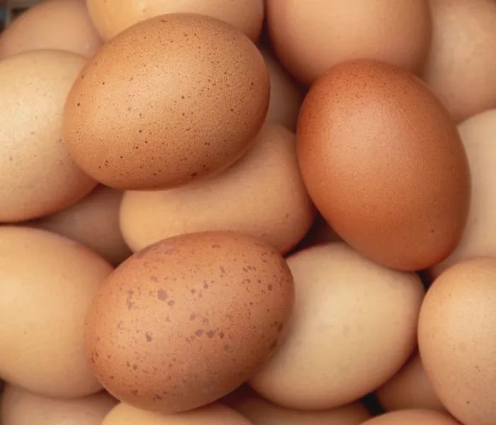 Eggs