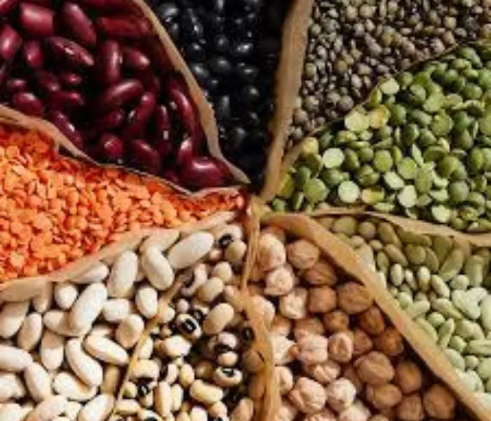 Legumes What to Eat During Pregnancy to Have a Beautiful Baby